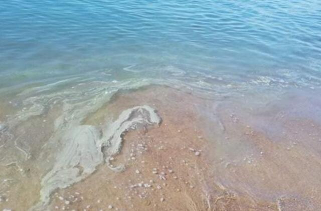 Klaipėdos jūrų uoste buvo išsiliejęs dyzelinas