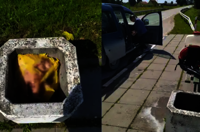 Šiukšlinėje - kiaulių galvos