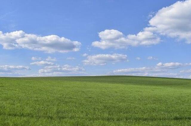 Siūloma griežčiau kontroliuoti „sofos“ ūkininkus