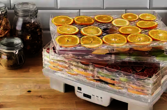 Sveikiausias derliaus konservavimo būdas: kaip teisingai džiovinti vaisius bei daržoves?