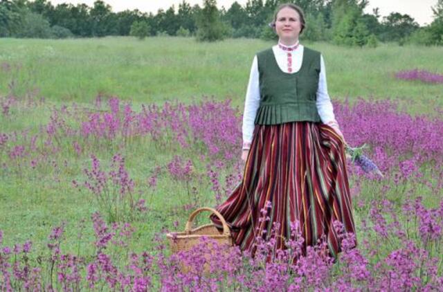 Vaistažolių sezonas jau eina į pabaigą