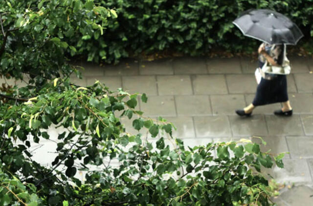 KLASCO Vitės kvartale pasodins medžių ir krūmynų