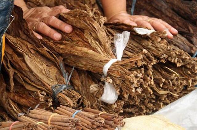 Siūloma uždrausti neapdoroto tabako prekybą