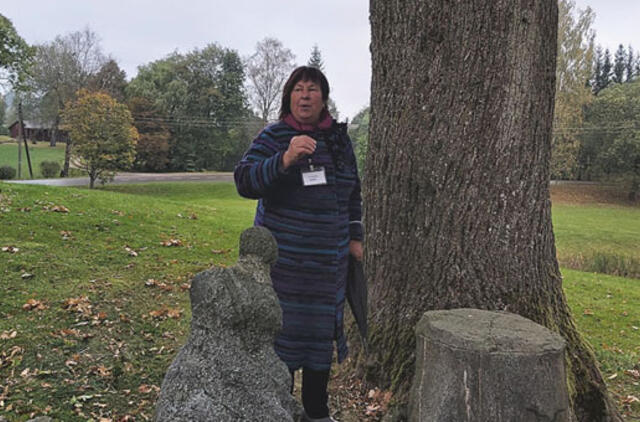 Apie Dionizo Poškos Baublius - su humoru