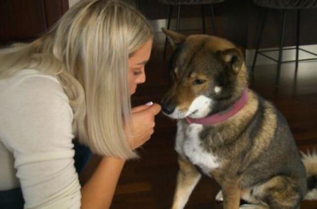 L. Mondeikaitės-Norkevičienės šuo kainavo įspūdingą sumą: jis man yra kaip vaikas