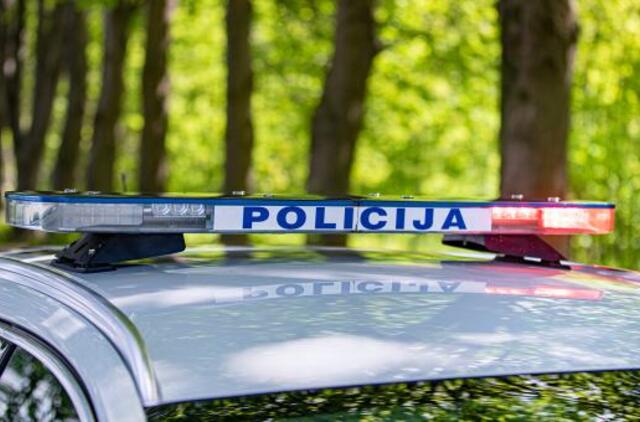 Suvestinė: pavogtos lentos, rasta suktinė