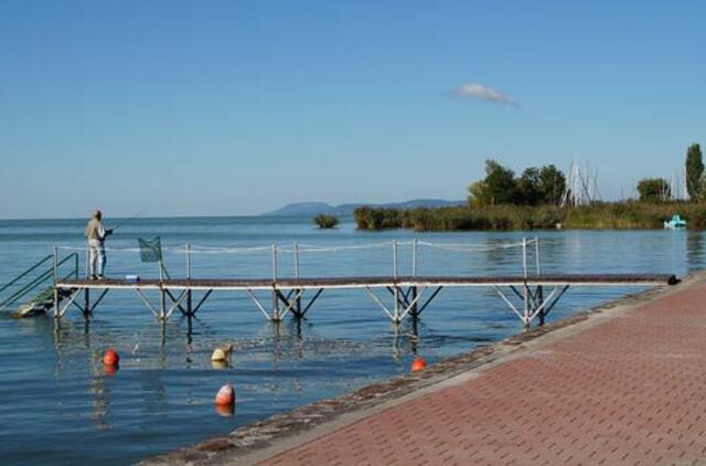 lieptas