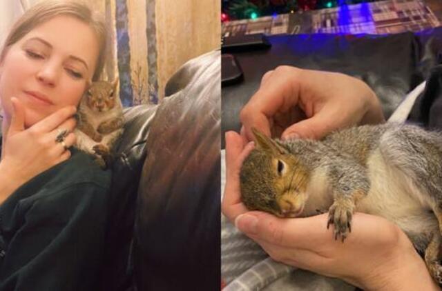 Voverytės istorija: kaip Stasytė tapo mylimu šeimos nariu