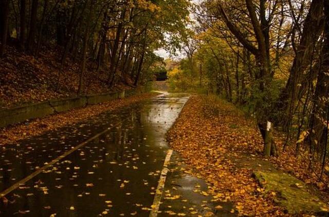 Dieną vietomis nedidelis lietus, dulksna, kai kur rūkas