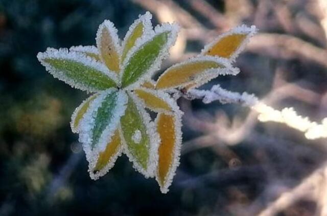Gyvenimas pro langą: "Kiek yra - tiek užteks"