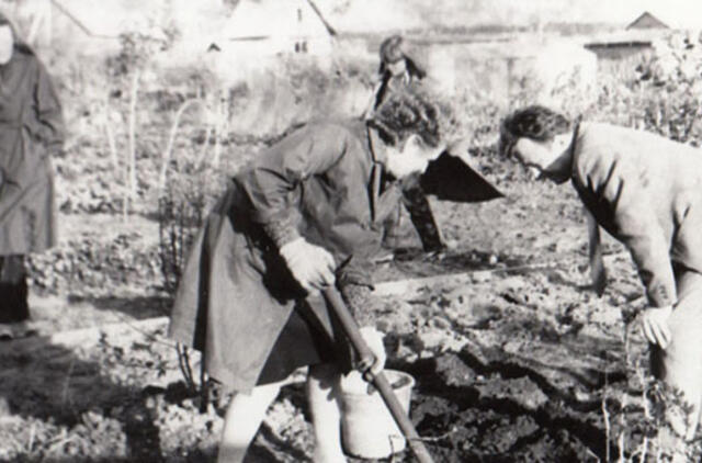 Klaipėdos akvarelės: namai ir žmonės (653)