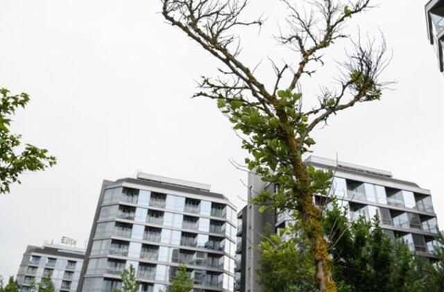 Šiųmetė vasara poilsiautojus privertė dar labiau vertinti šalies pajūrio privalumus