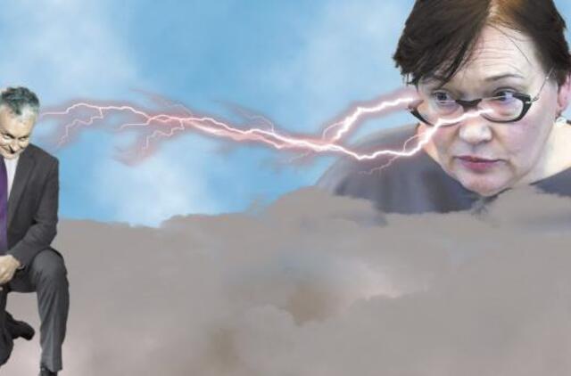 A.Maldeikienė parklupdys G.Nausėdą ir trečdalį Lietuvos