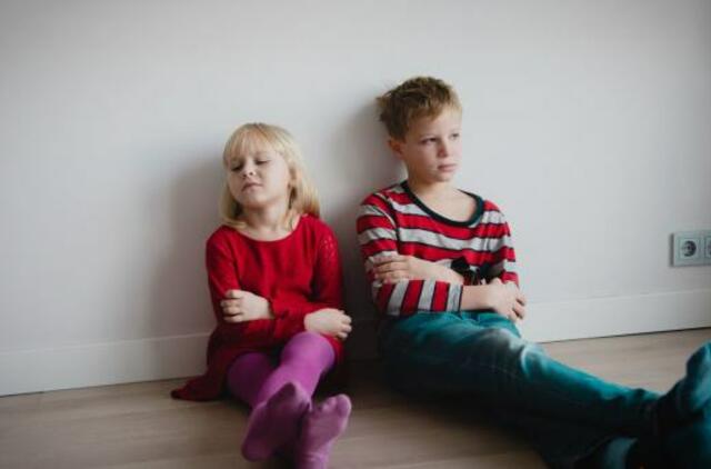 Ką daryti, kai vaikai sako neapkenčiantys savo brolio ar sesers?