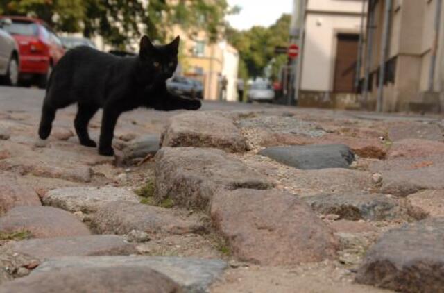 Keliaujant po senamiestį