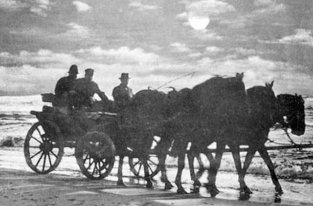 Klaipėdos akvarelės: namai ir žmonės (657)