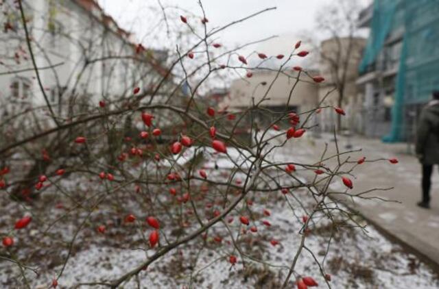 Naktį vietomis gali būti slidu, eismo sąlygas sunkins gūsingas vėjas