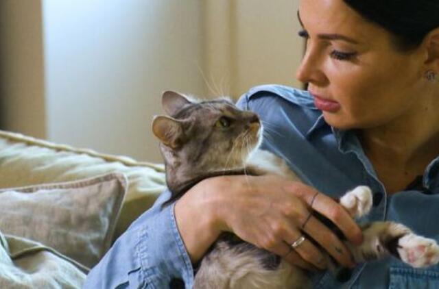 Net A. Jagelavičiūtės katė yra socialinių tinklų žvaigždė: gauna realias pajamas