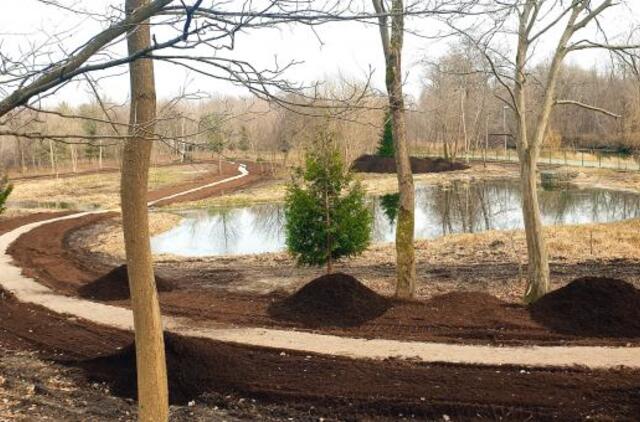 Sutvarkyta Danės senvagė virs Rytų sodu