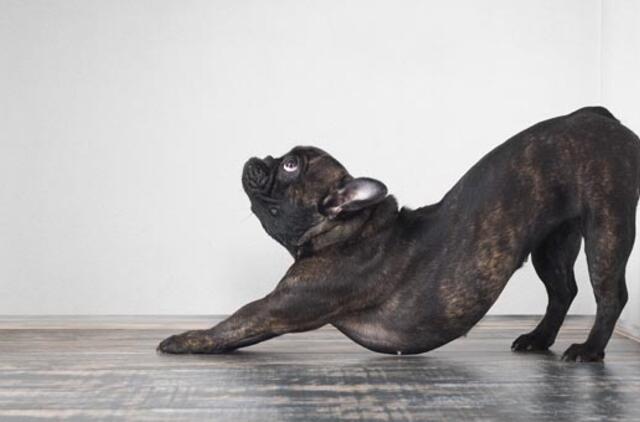 Gyvenimas pro langą: Kai biologiniai laikrodžiai tiksi