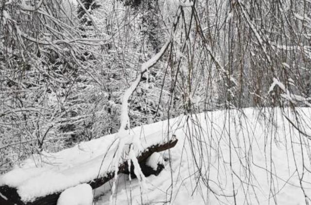 Gyvenimas pro langą: Prie ko čia Henris Fordas?