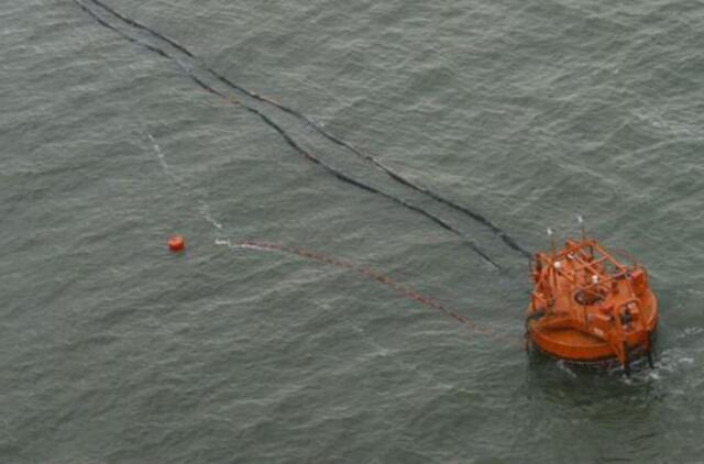 Ministerija aiškinasi, kodėl nušalintas aplinkosaugininkas