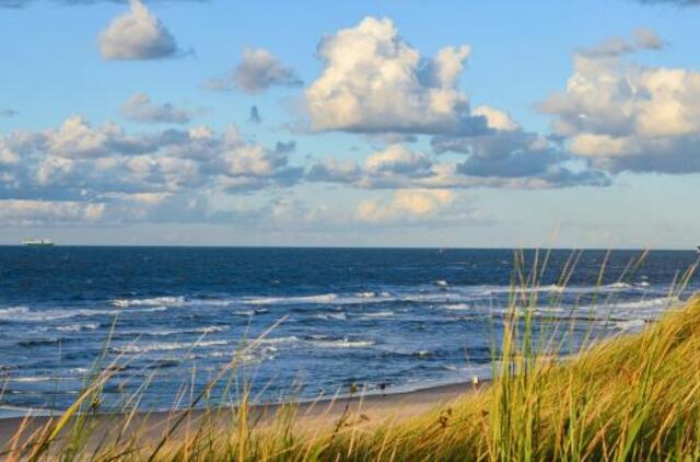 Prokuratūra pradėjo tyrimą dėl iš Būtingės naftos terminalo išsiliejusios naftos