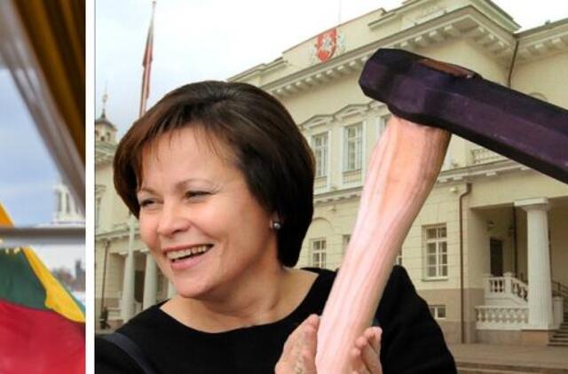 R.Juknevičienė ragina smogti prezidentūrai