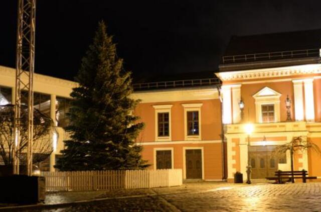 Specialiosios tarnybos: pirmasis šių metų savaitgalis buvo ramus