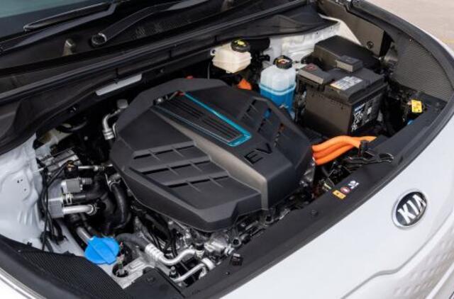 Elektromobiliai ir žiemos rūpesčiai: vairuotojui galvą sukti tenka vis mažiau