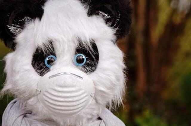 Ištyrus 4949 ėminius, 356 nauji koronaviruso atvejai ir 9 mirtys