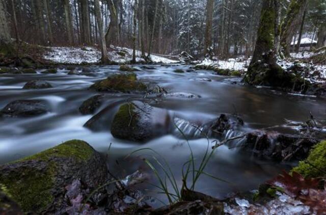 Penktadienio horoskopas 12-ai zodiako ženklų
