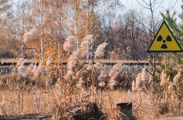 Radioaktyvių atliekų kapinynas: neaiškios kokybės betonas gali slėpti rimtus nusižengimus