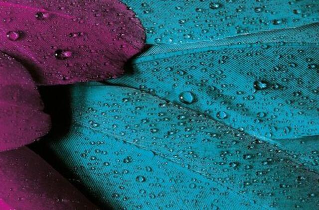 Sekmadienio horoskopas 12-ai zodiako ženklų