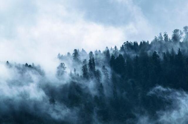 Sekmadienio horoskopas 12-ai zodiako ženklų