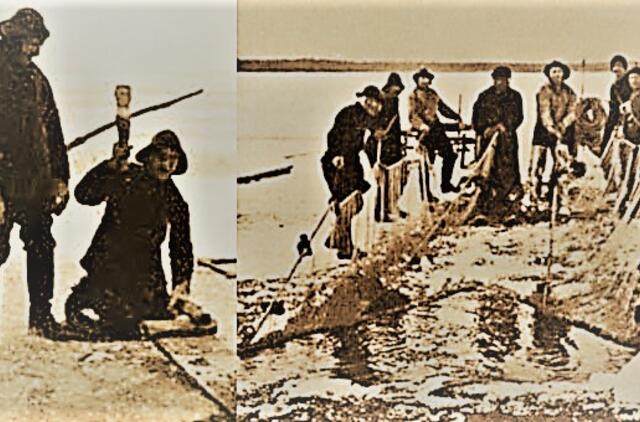 Vieninteliai kuršiai žuvis valgydavo būtinai su krienais