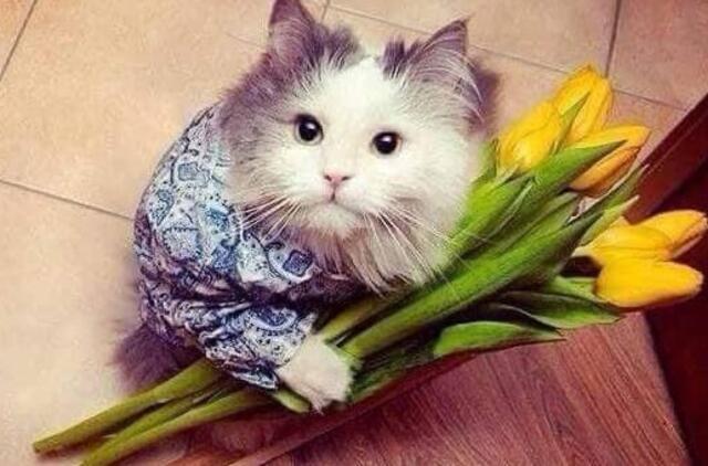 Gyvenimas pro langą: Kai orai visai ne kliūtis