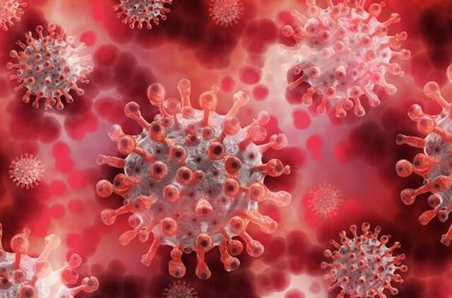 Ištyrus 8163 ėminius, 517 nauji koronaviruso atvejai ir 10 mirčių