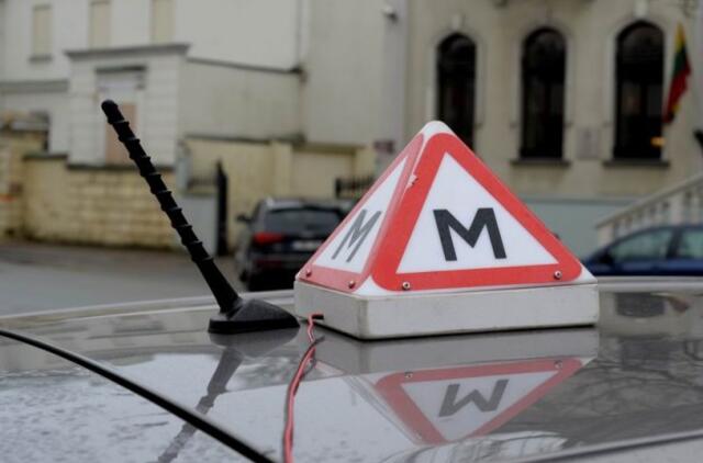 Vairavimo mokyklų atstovų protesto akcija