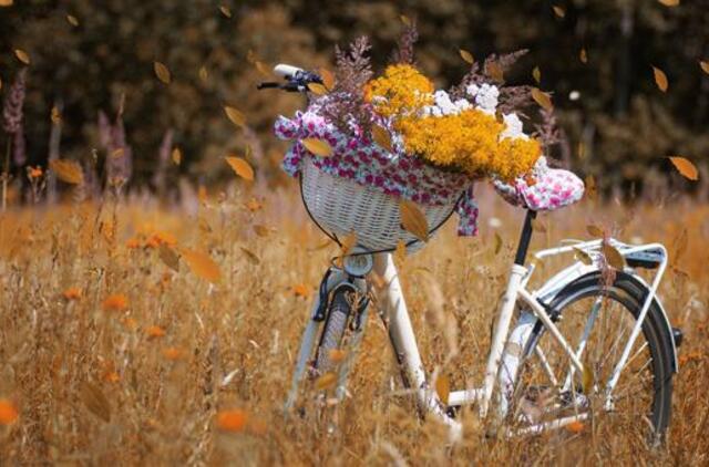 Sekmadienio horoskopas 12-ai zodiako ženklų