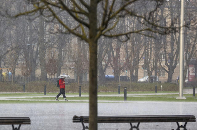 Lietus. Mariaus Morkevičiaus (ELTA) nuotr.