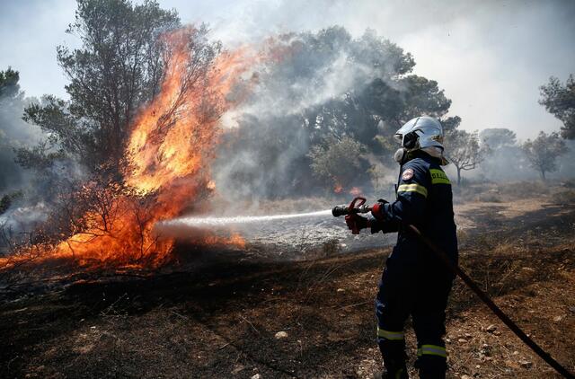 Dėl gaisro iš Graikijos kurorto Lesbo saloje evakuota šimtai žmonių