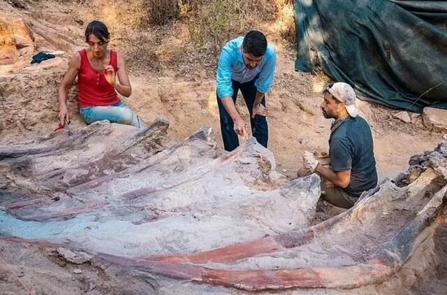 Dinozauro liekanos Portugalijoje