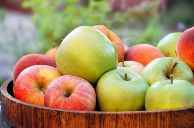 Obuolių nauda ir žala: kiek jų galima suvalgyti per dieną
