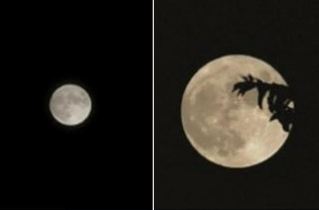 "Huawei Mate 50 Pro" kameros funkcijos