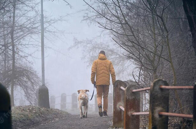 Slogus nuobodulys ir kiti nemalonumai rudenį. Kodėl būtent dabar? 