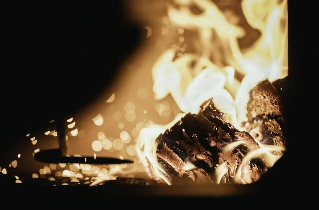 Mokslininkai: žmonės pradėjo gaminti maistą ant ugnies daug anksčiau, nei manyta 