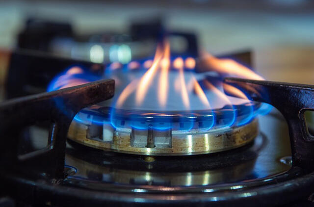 Zananavičius Briuselyje aptars dujų poreikio mažinimą bei elektros rinkos reformą