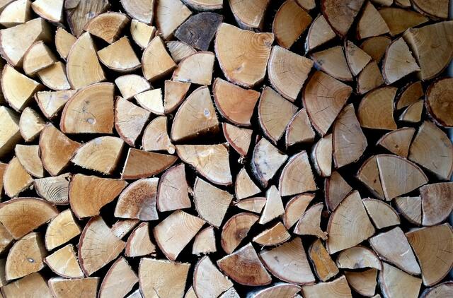 Krenta ilgą laiką didėjusi medienos paklausa ir kaina