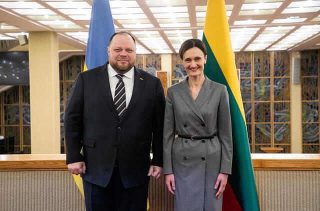 Lietuvoje lankosi Ukrainos Aukščiausiosios Rados delegacija